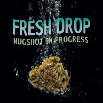 Pacific Lemons Live Resin Cake Icing